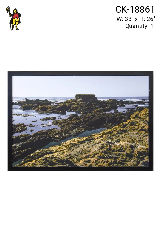 Framed Cleared Landscape Photograph