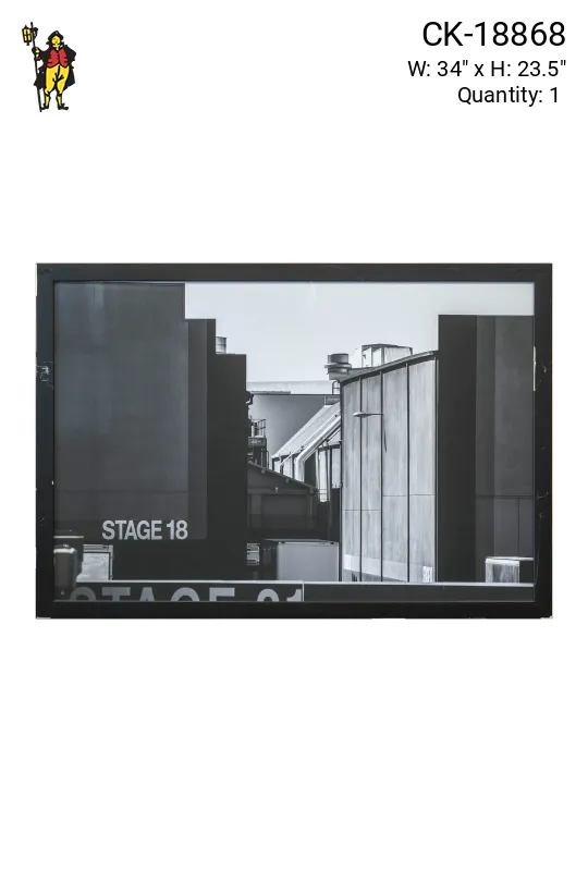 Framed Cleared Black & White Back Lot Photograph