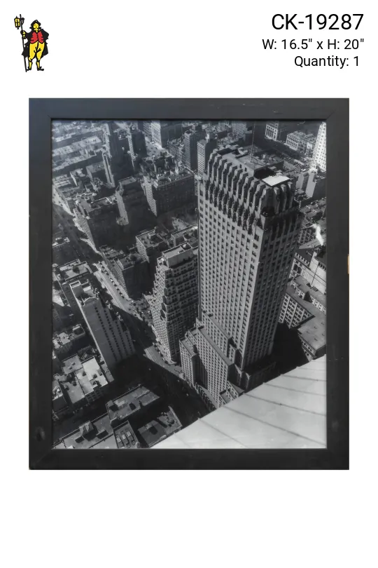 Framed Cleared Black & White Architectural Photograph