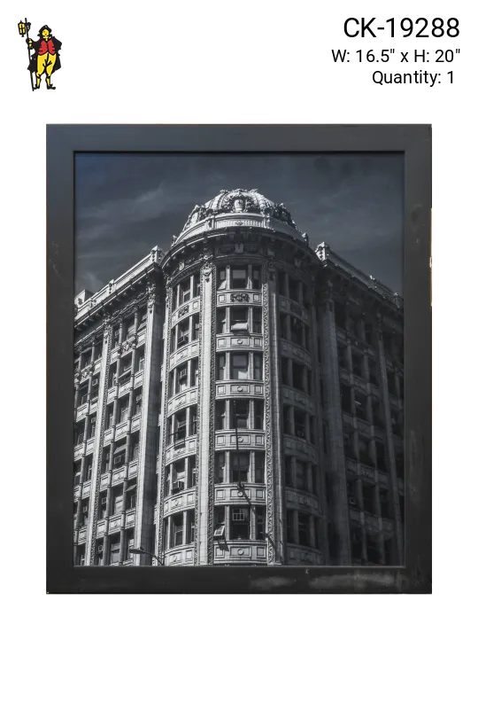 Framed Cleared Black & White Rounded Building Photograph
