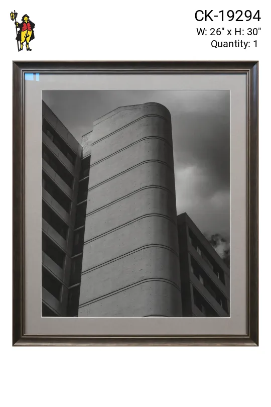 Framed Cleared Minimalist Black & White Unique Building Photograph