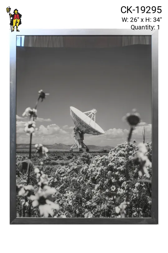 Nickel Framed Cleared Black & White Satellite Flowers Photograph