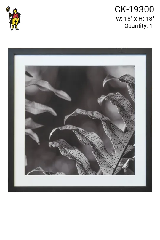 Black Framed Cleared Botanical Photograph