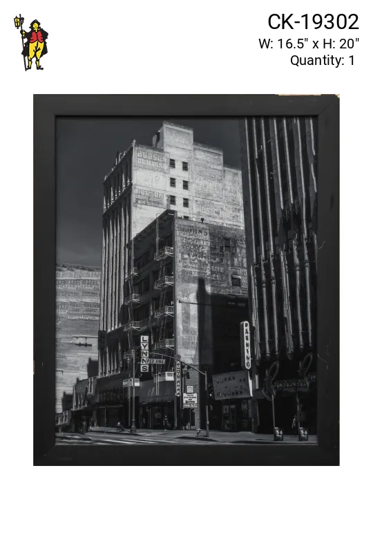 Framed Cleared Black & White Urban Architecture Photograph