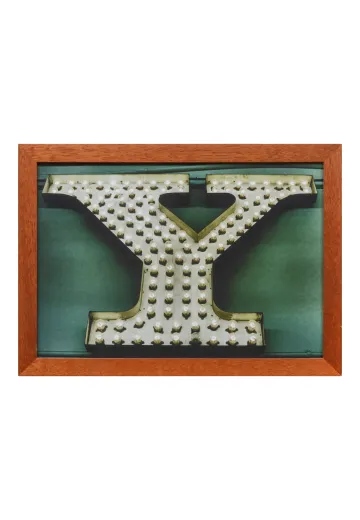 Wooden Framed Cleared Pop Art "Y" Photograph