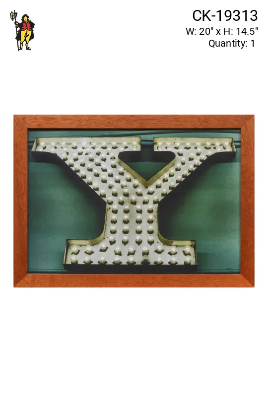 Wooden Framed Cleared Pop Art "Y" Photograph