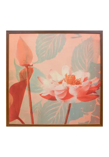 Framed Cleared Mid Century Botanical Print