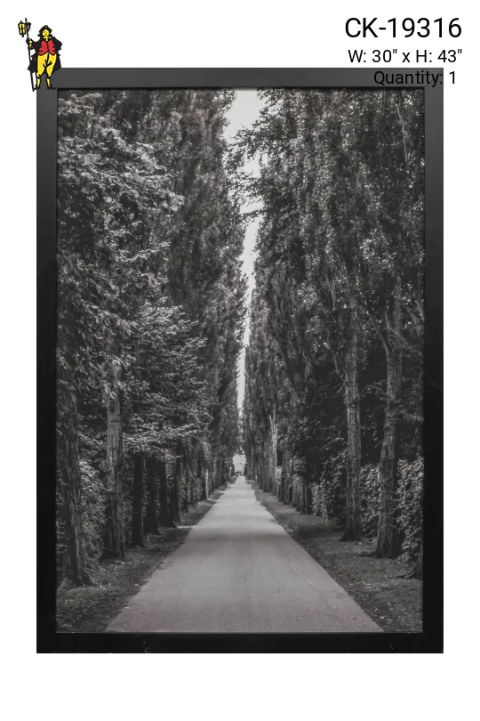 Cleared Black & White Trees Photograph