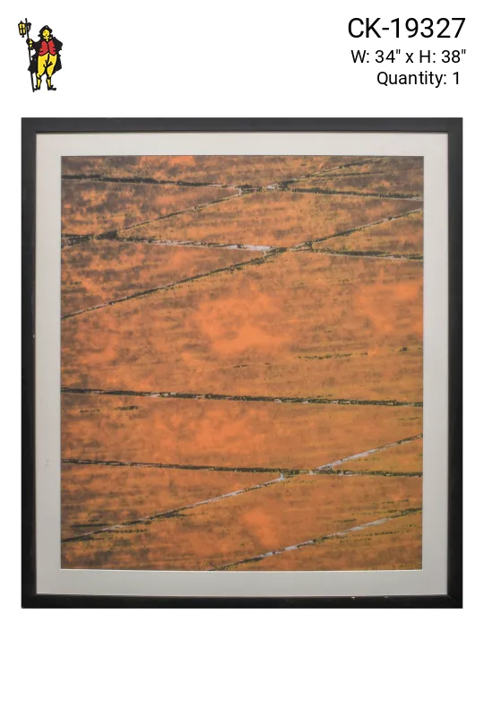 Framed Cleared Mid Century Modern Abstract Print - 3