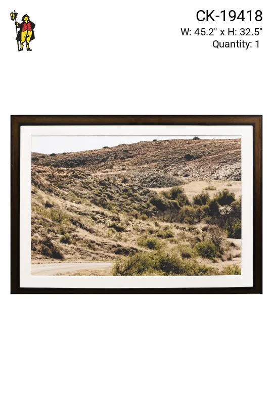 Framed Cleared Desert Photograph