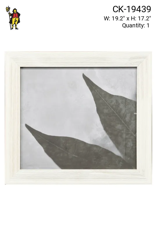 Framed Cleared Minimalist Leaves Macro Photograph