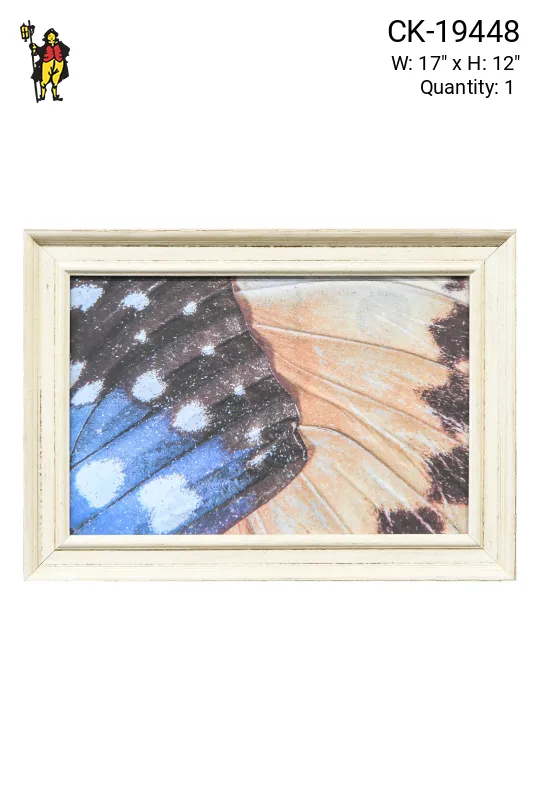 Framed Cleared Butterfly Wings Macro Photography - 1
