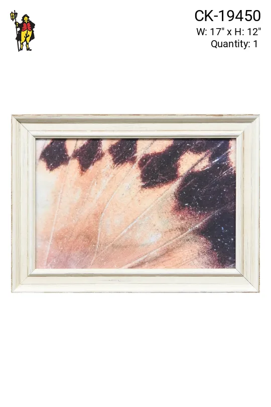 Framed Cleared Butterfly Wings Macro Photography - 3