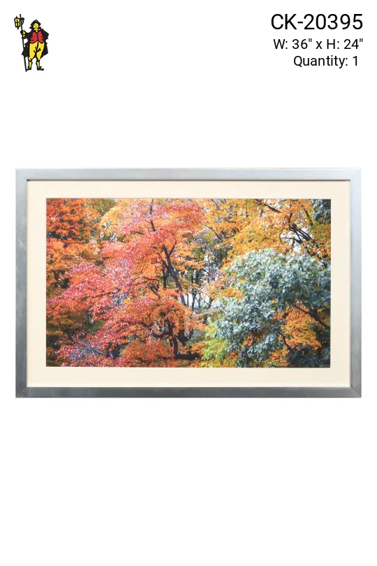 Nickel Framed Cleared "Fall Leaves" Photograph