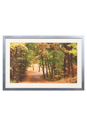 Framed Cleared "Fall Leaves C" Photograph