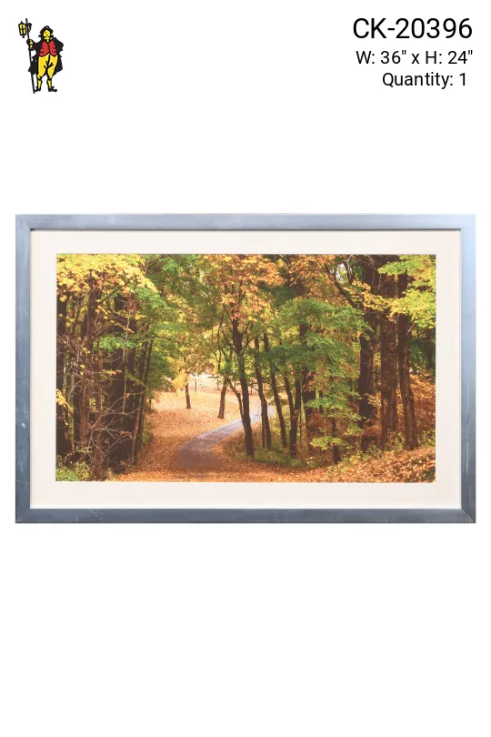 Framed Cleared "Fall Leaves C" Photograph