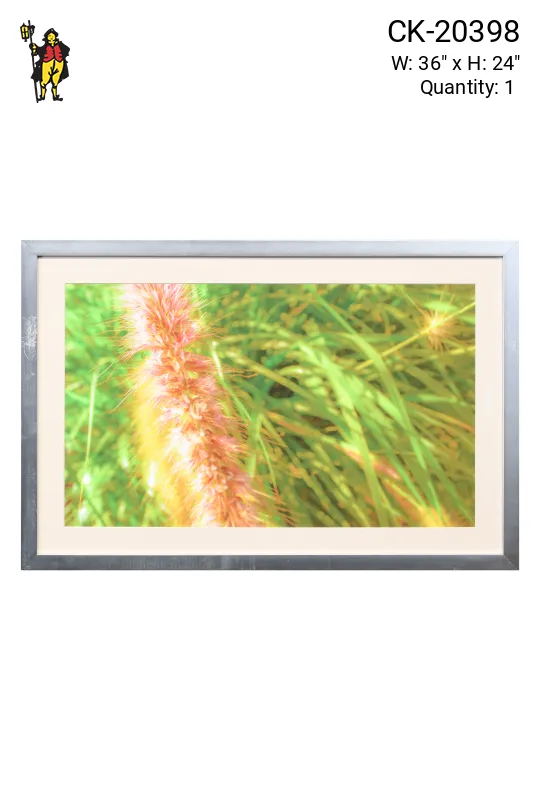 Framed Cleared "Purple Grass" Photograph
