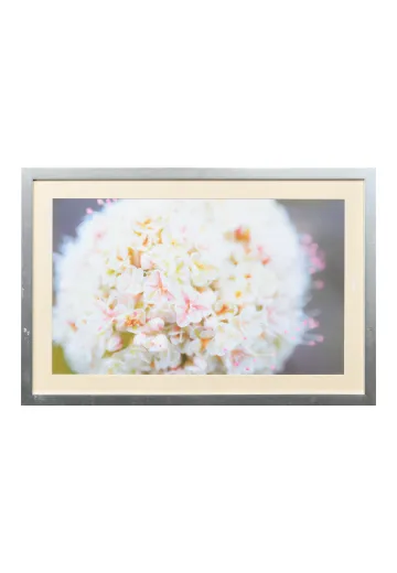 Framed Cleared Tiny Flowers Print
