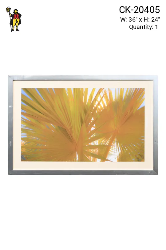 Framed Cleared Palms In The Sun Print