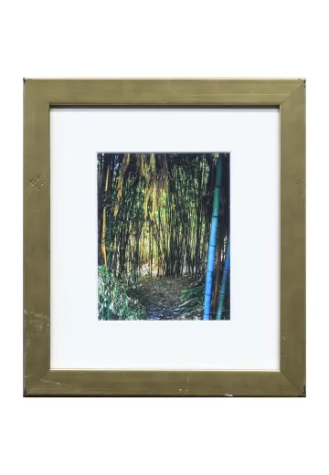 Framed Cleared Bamboo Photograph - 1