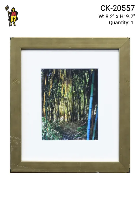 Framed Cleared Bamboo Photograph - 1