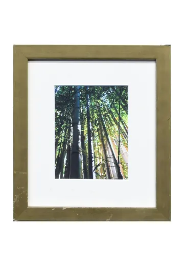 Framed Cleared Bamboo Photograph - 2