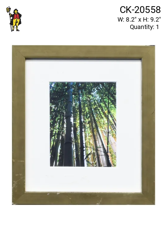 Framed Cleared Bamboo Photograph - 2