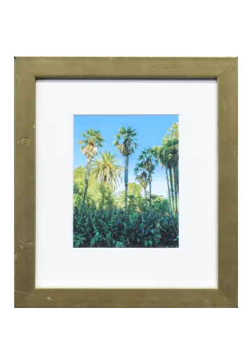 Framed Cleared Bamboo Photograph - 3