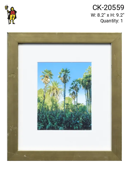 Framed Cleared Bamboo Photograph - 3