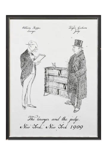 Framed Cleared Lawyer Political Cartoon