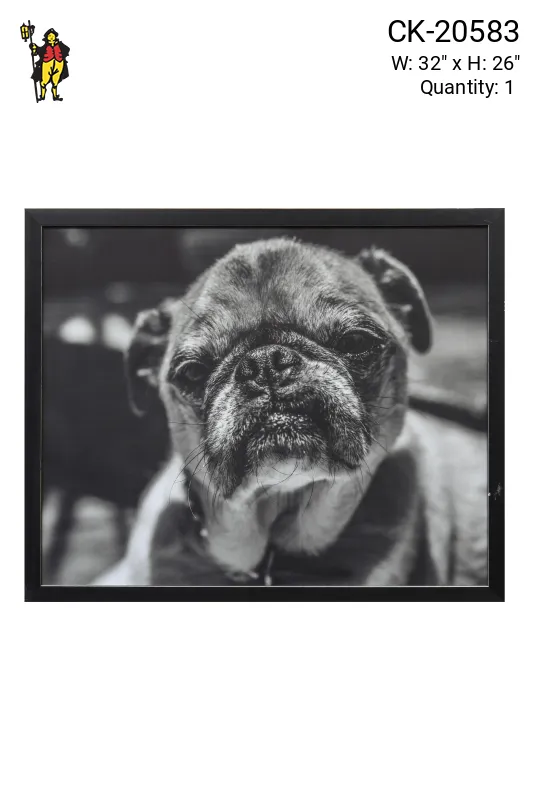 Framed Cleared Dog's Portrait Photo
