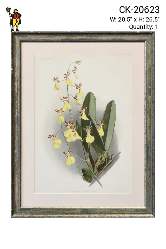 Framed Cleared Floral Lithograph - 1