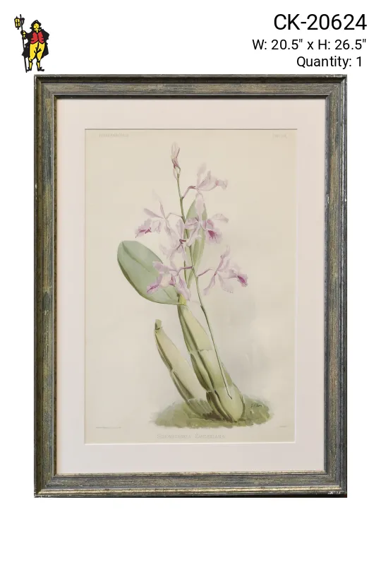 Framed Cleared Floral Lithograph - 2