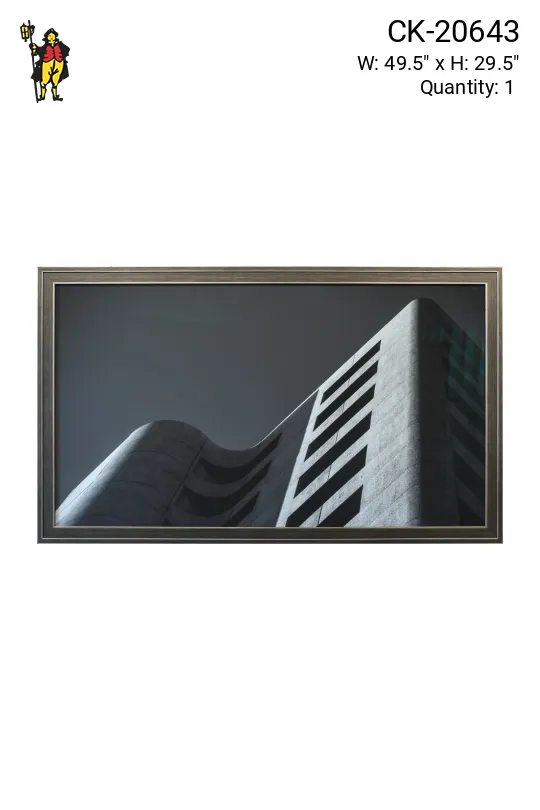 Framed Cleared Minimalist Curved Architectural Photograph