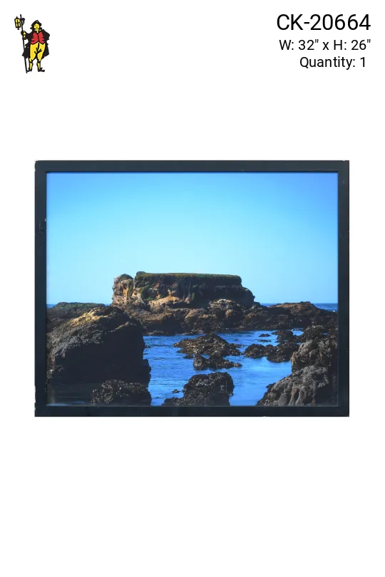 Framed Cleared Photograph of Costal Landscape