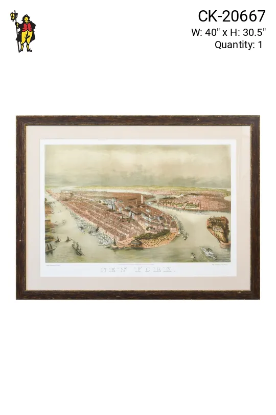 Framed Cleared Panoramic Illustration of New York