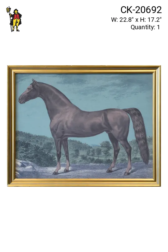 Framed Cleared Horse Lithograph