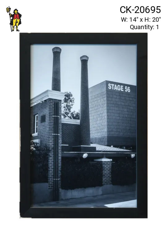 Framed Cleared Black & White Modernist Photograph