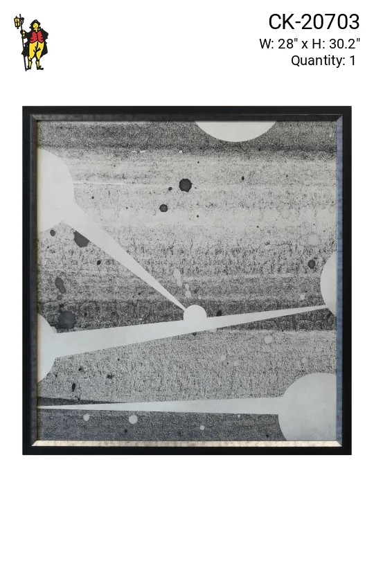Framed Cleared Mid Century Monochrome Print