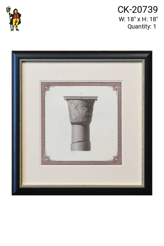 Framed Cleared Architectural Corinthian Column Illustration - 1