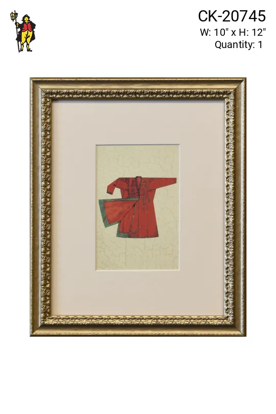 Framed Cleared Asian Ceremonial Robe Illustration