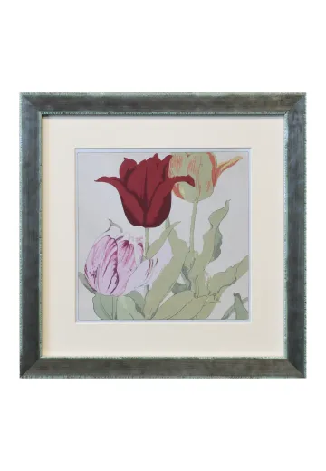 Framed Cleared Botanical Watercolor - 1