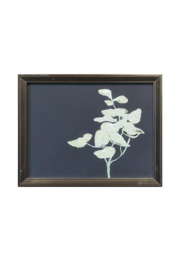 Framed Cleared Modernist Black & White Botanical Print - 1