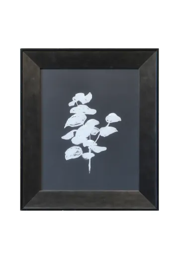 Framed Cleared Modernist Black & White Botanical Print - 2