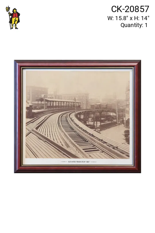 Framed Cleared 19th Century Elevated Train Photograph