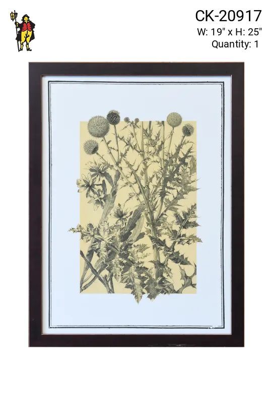 Framed Cleared Botanical Illustration