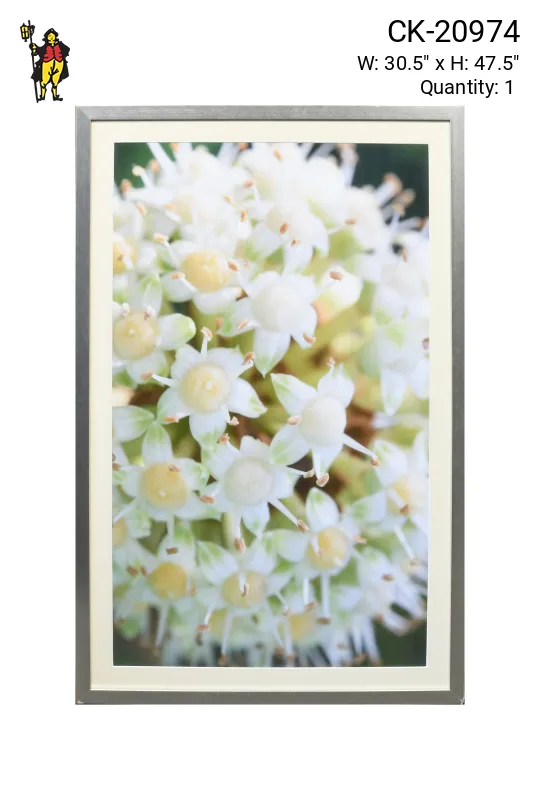 Framed Cleared Macro Floral Photograph