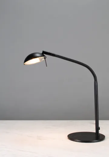 Adjustable Black Desk Lamp