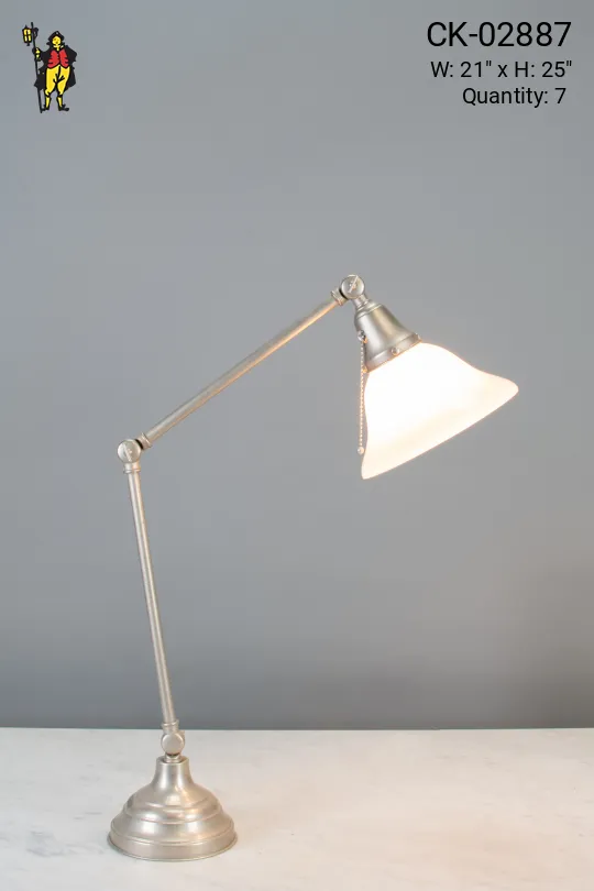 Silver Adjustable Desk Lamp w/Glass Shade