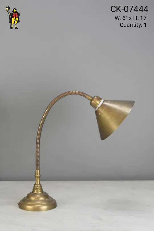 Industrial Style Brass Desk Lamp